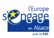 Logo FSE